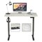 Electric Standing Desk Sit To Stand Height Adjustable Dual Motor